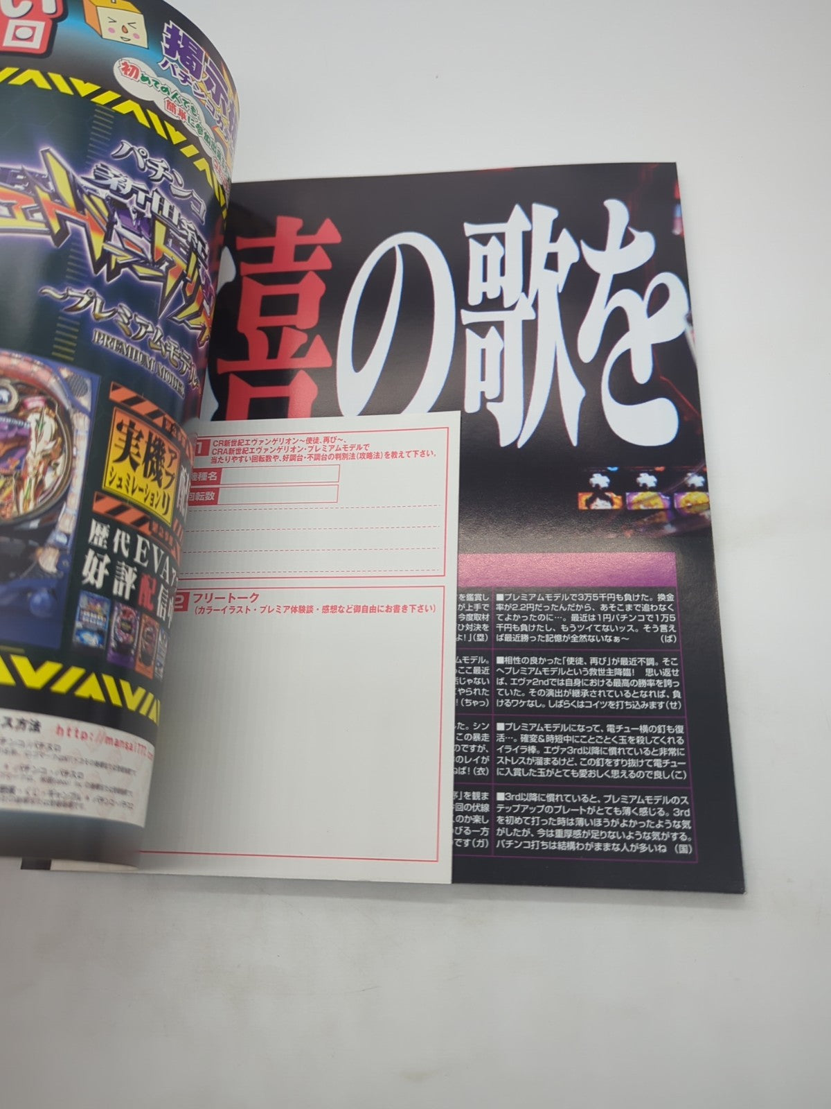 Image #13