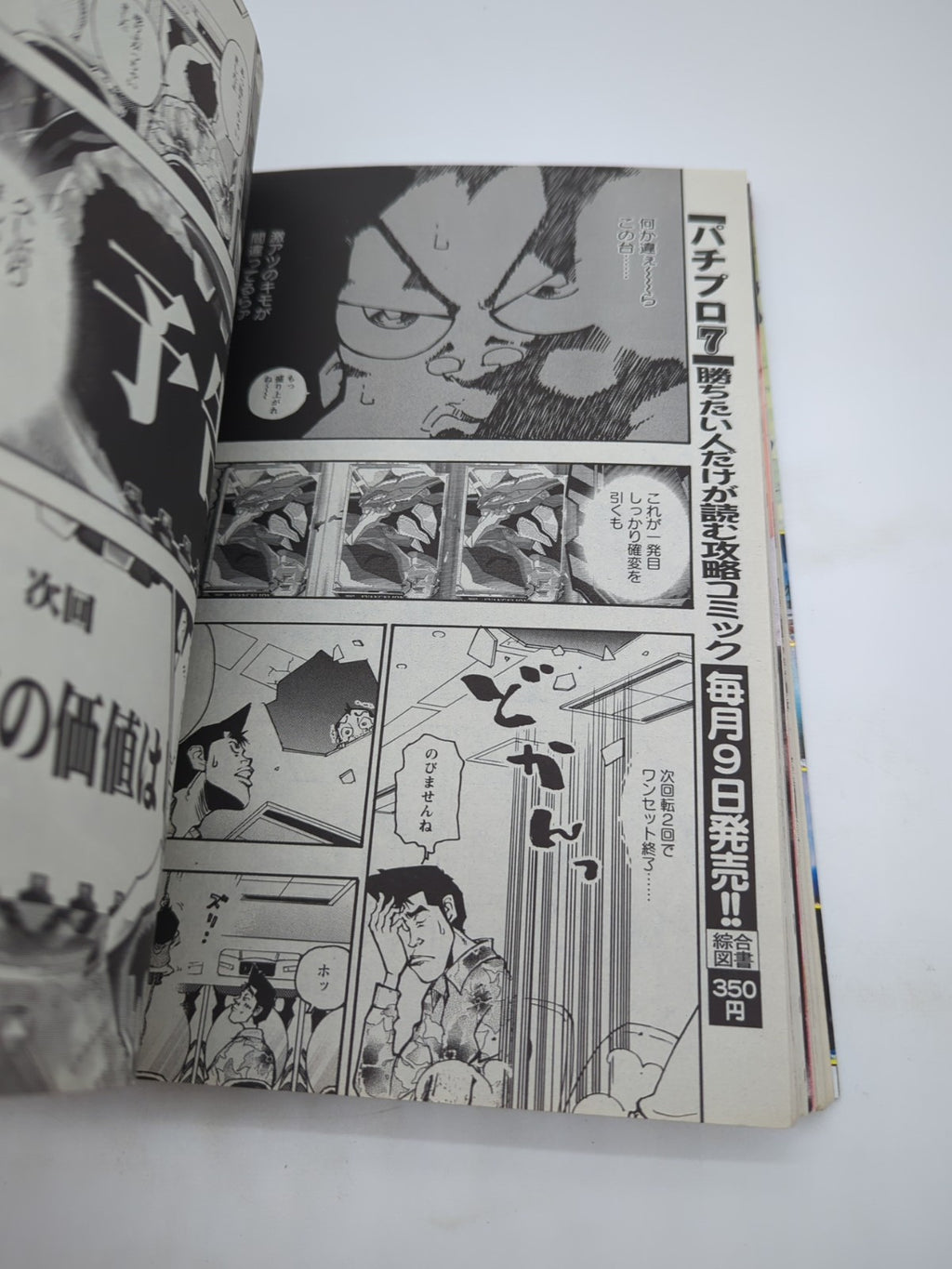Image #12