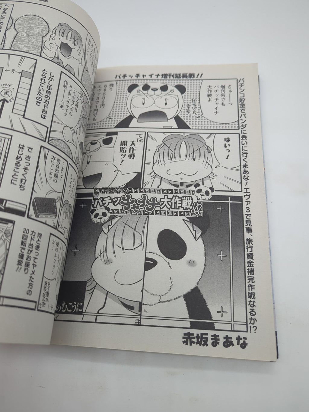 Image #10