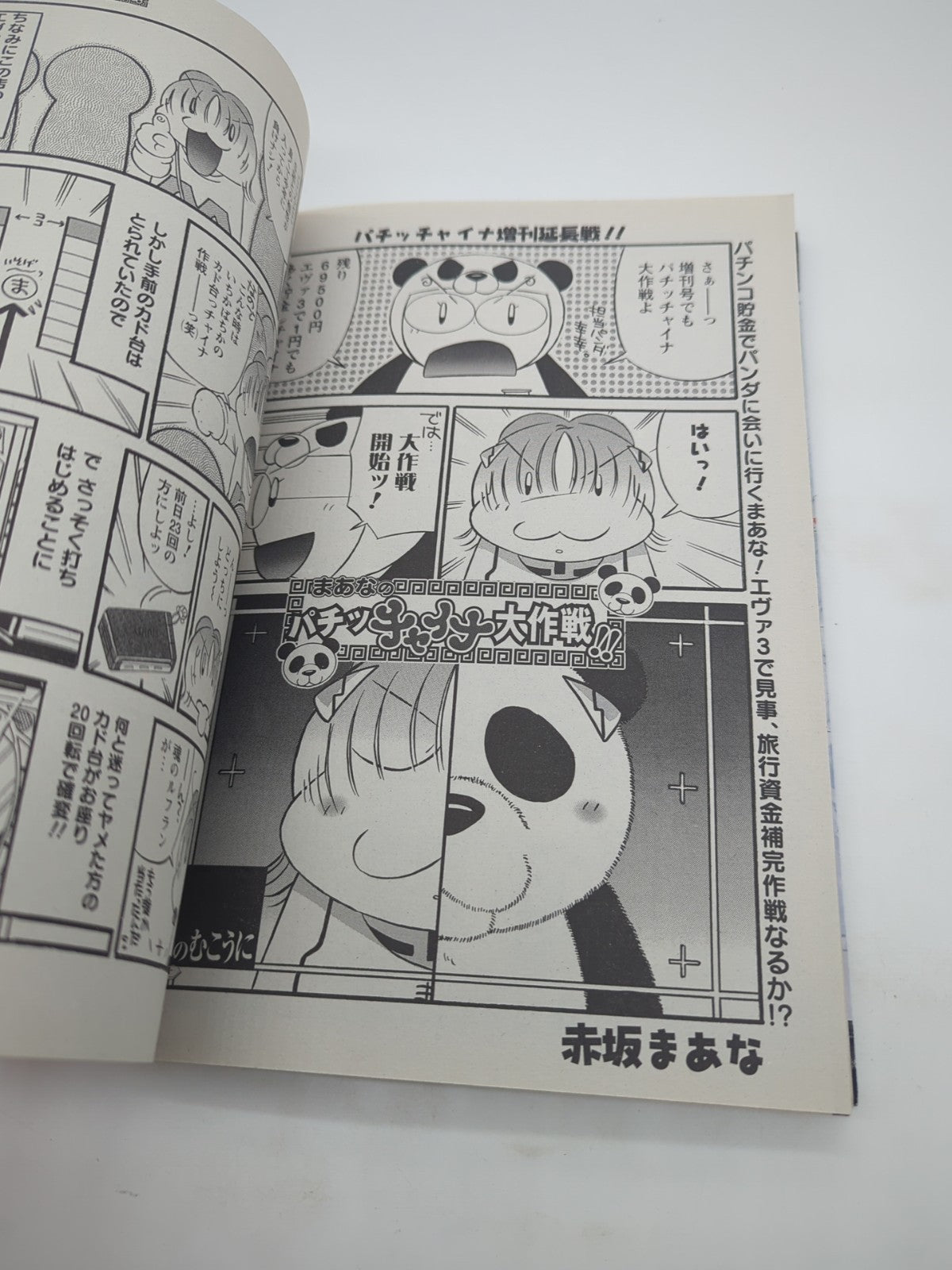 Image #10