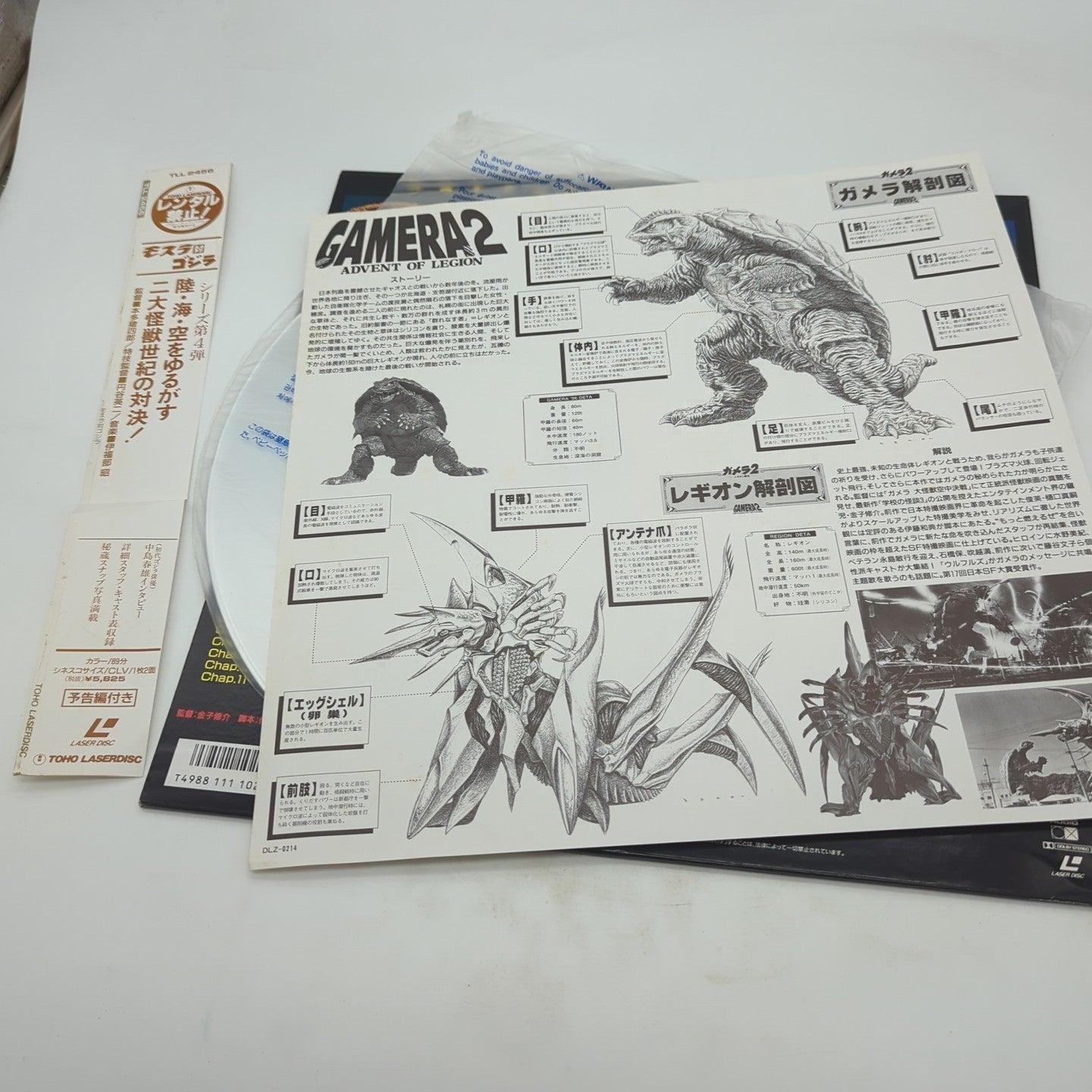 Image #5