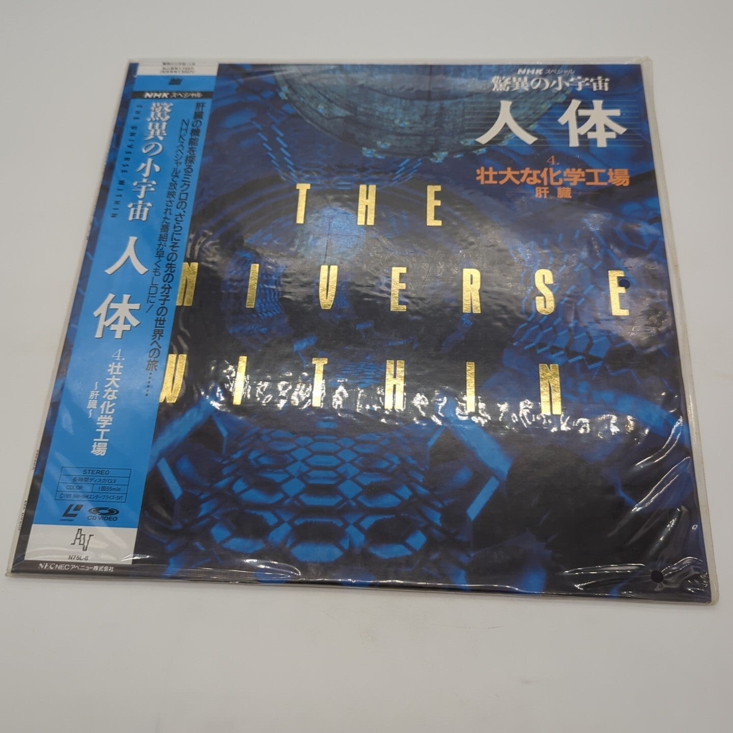 Image #1