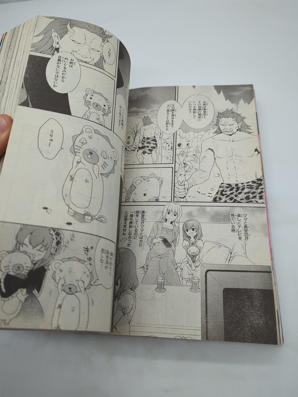 Image #12