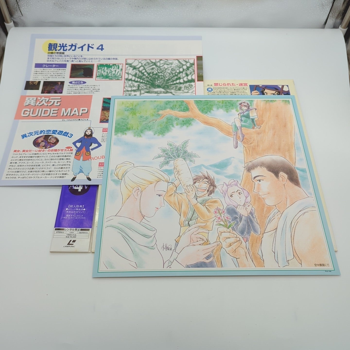 Image #3