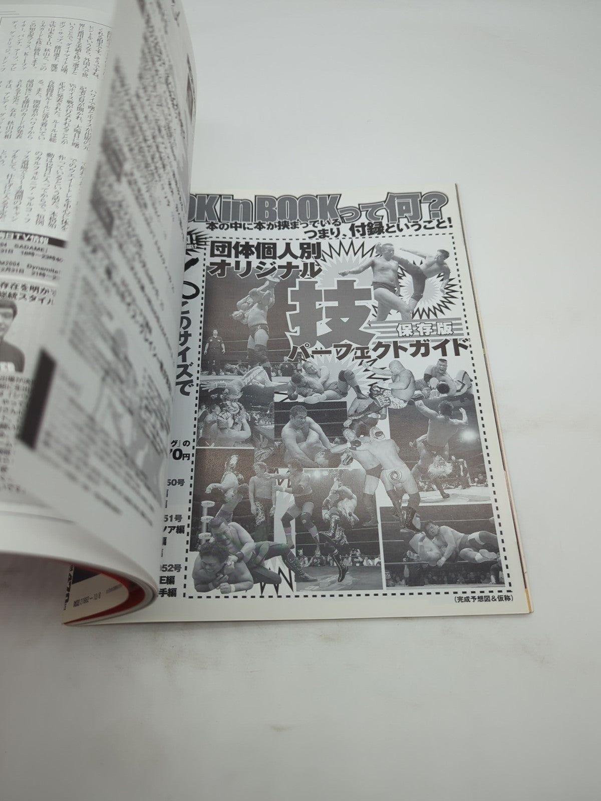 Image #4
