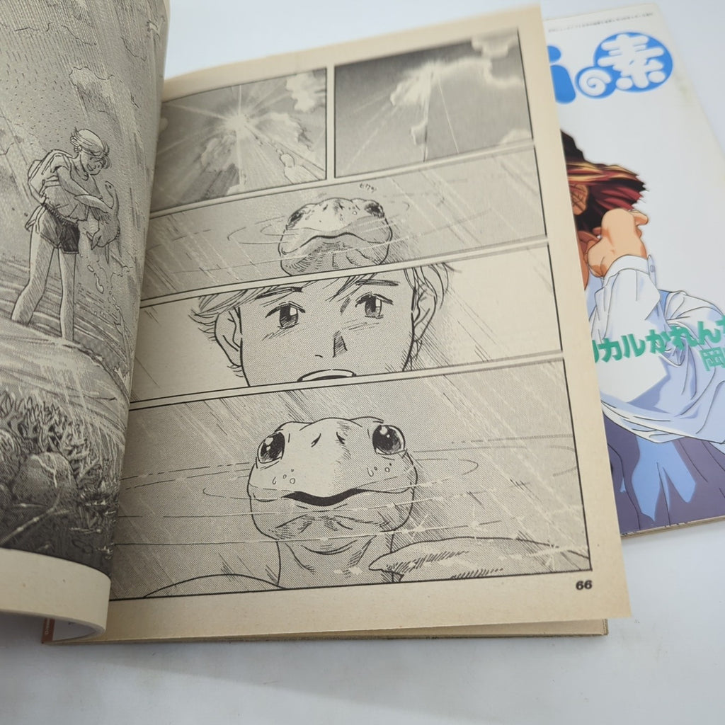 Image #4