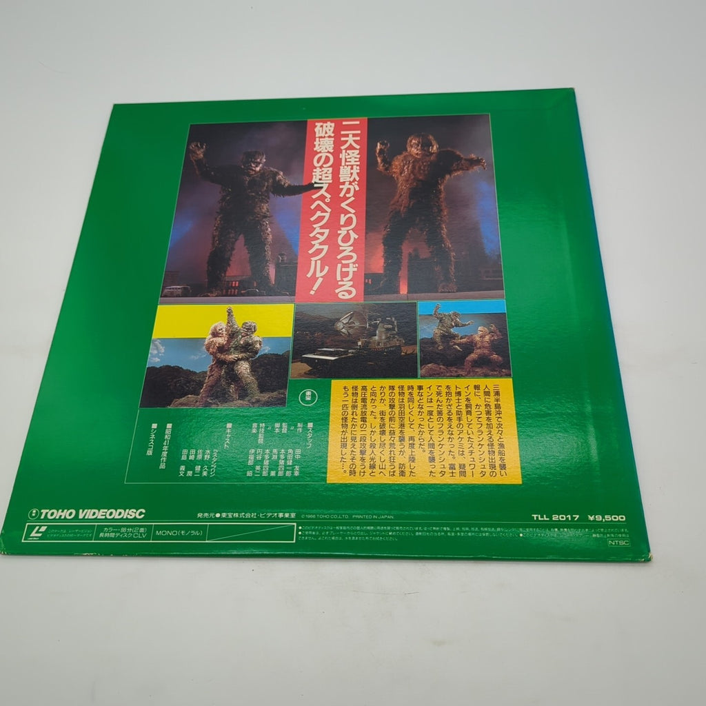 Image #2