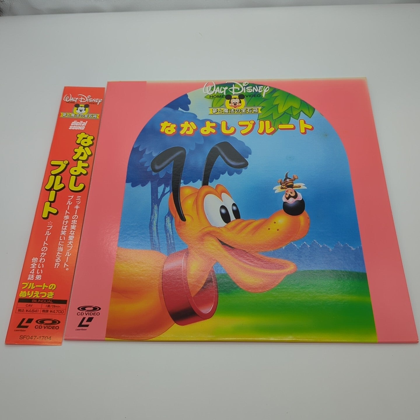 Image #1
