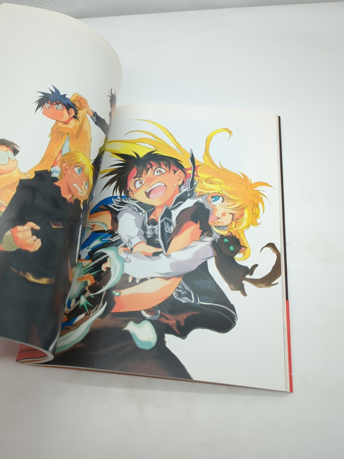 Image #5