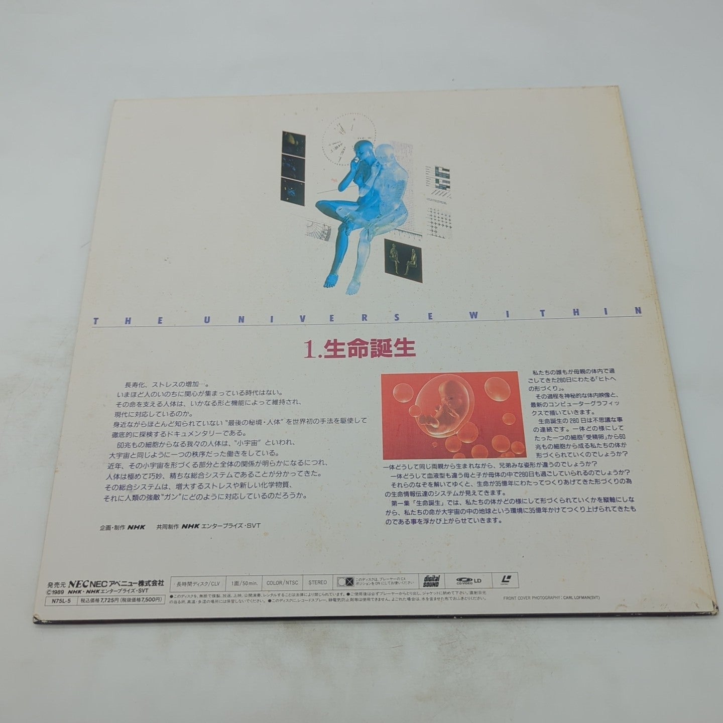 Image #2