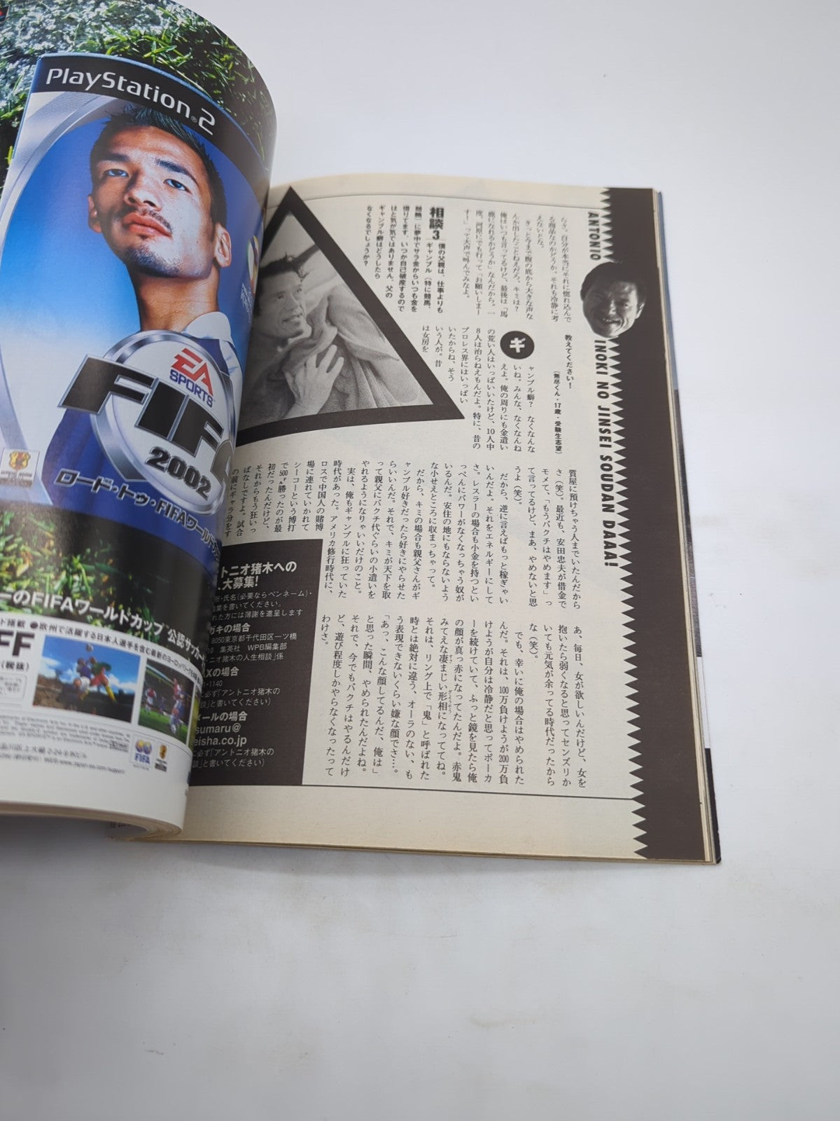Image #4