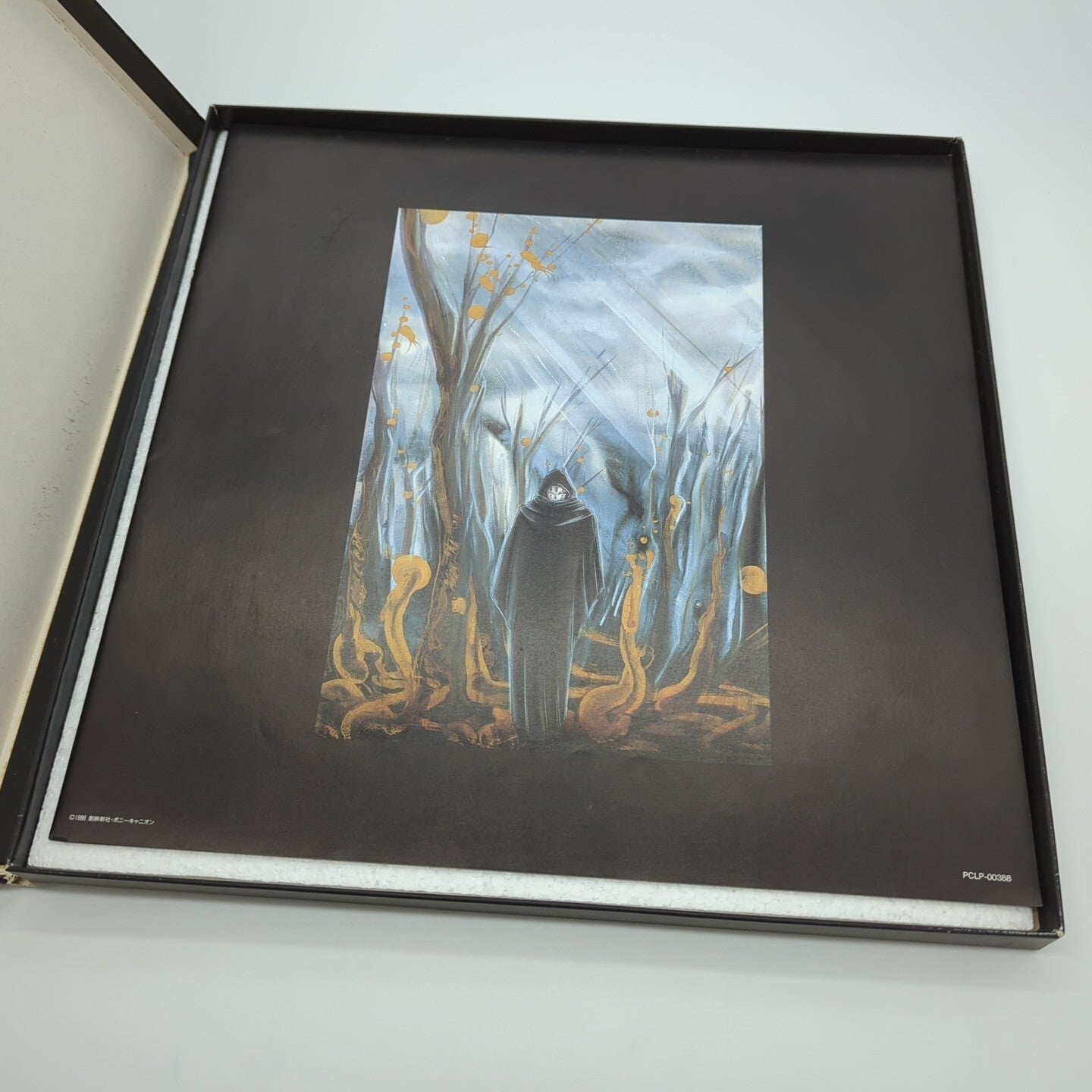 Image #4