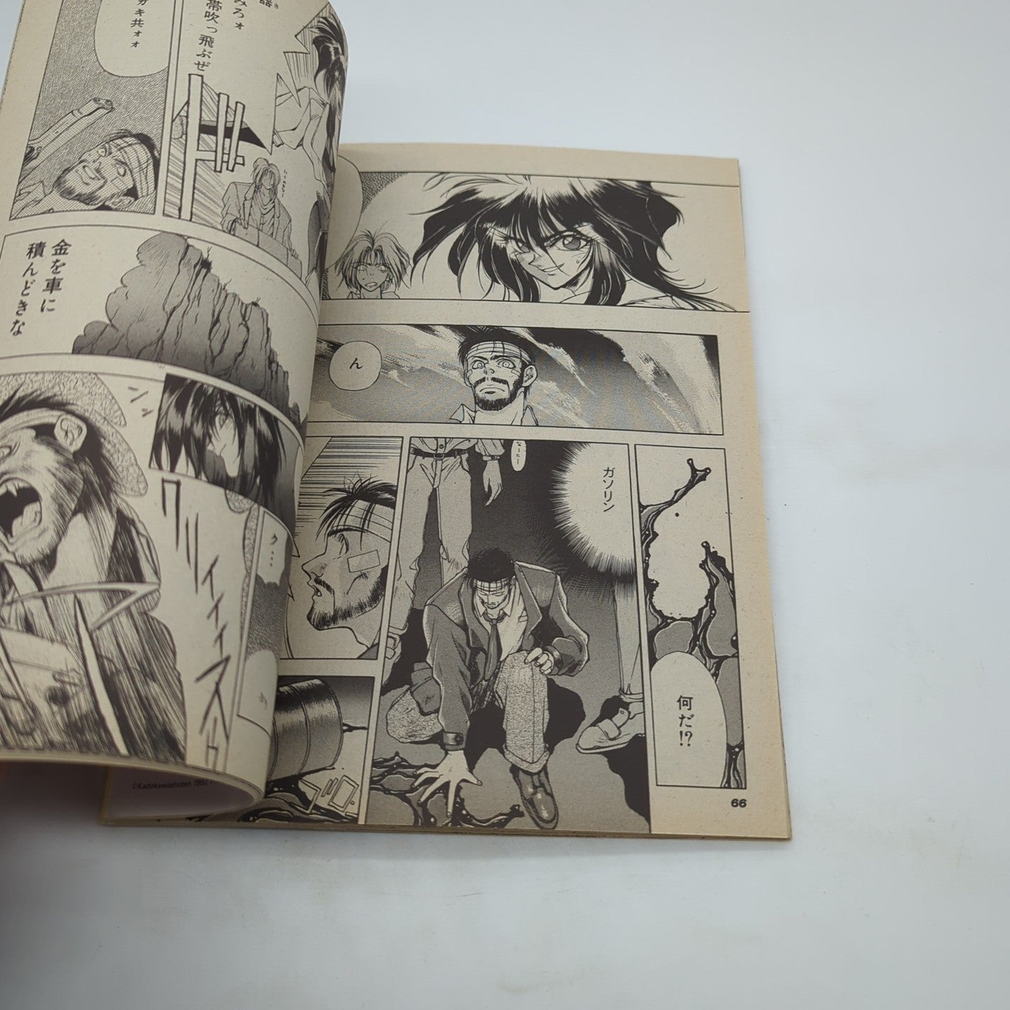 Image #14
