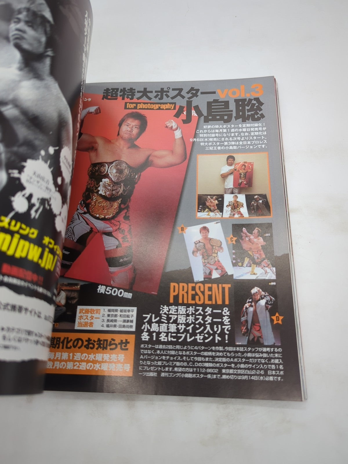 Image #12