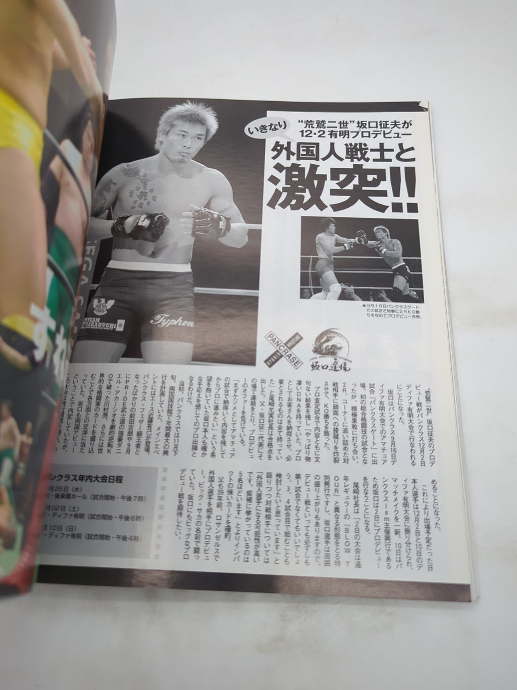 Image #12