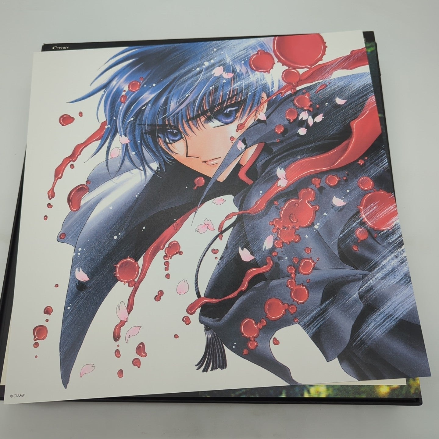 Image #5