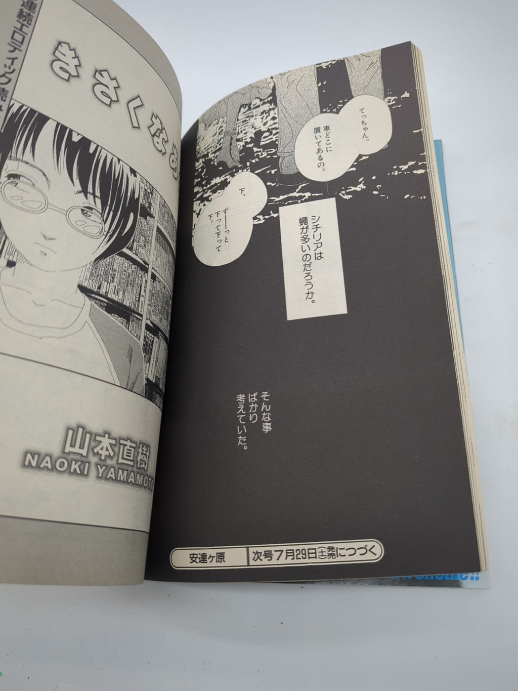 Image #5