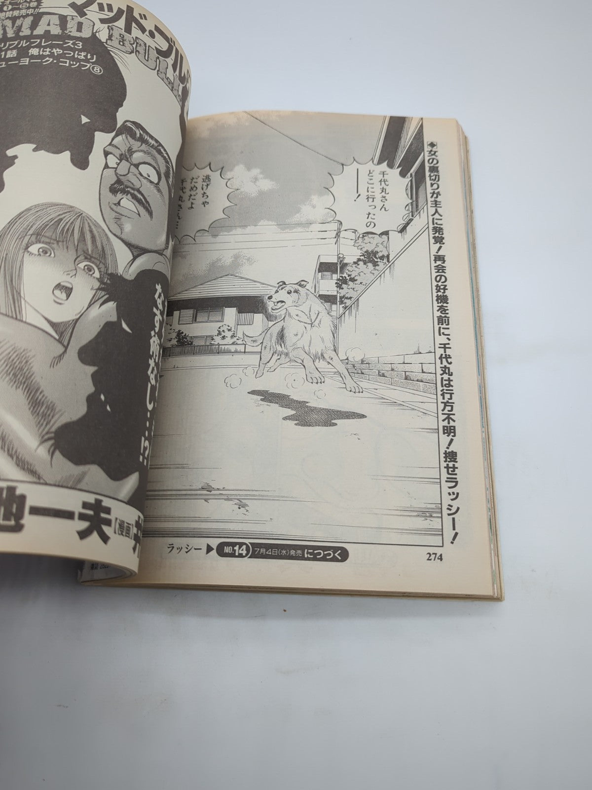 Image #10