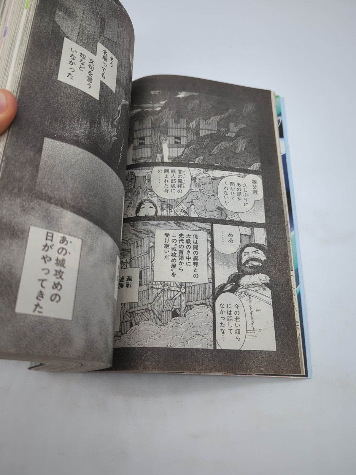 Image #3