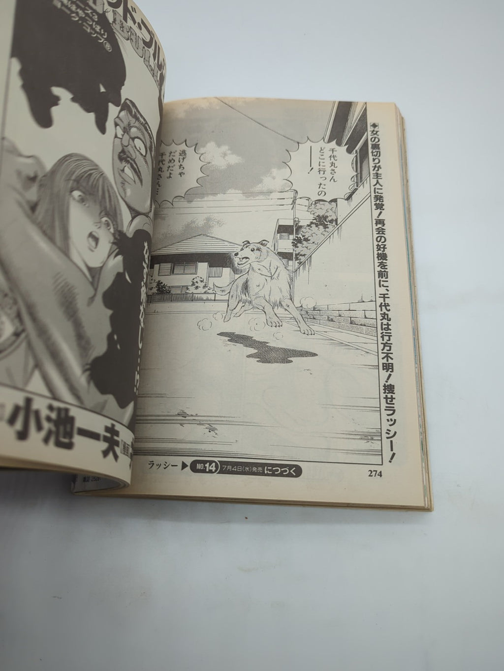 Image #11