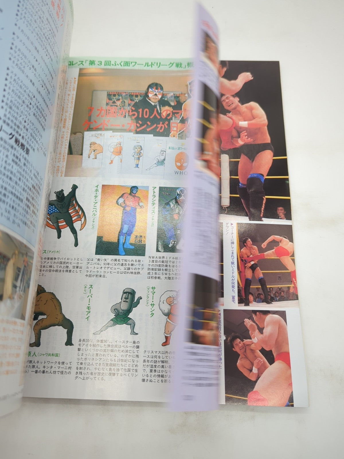 Image #8