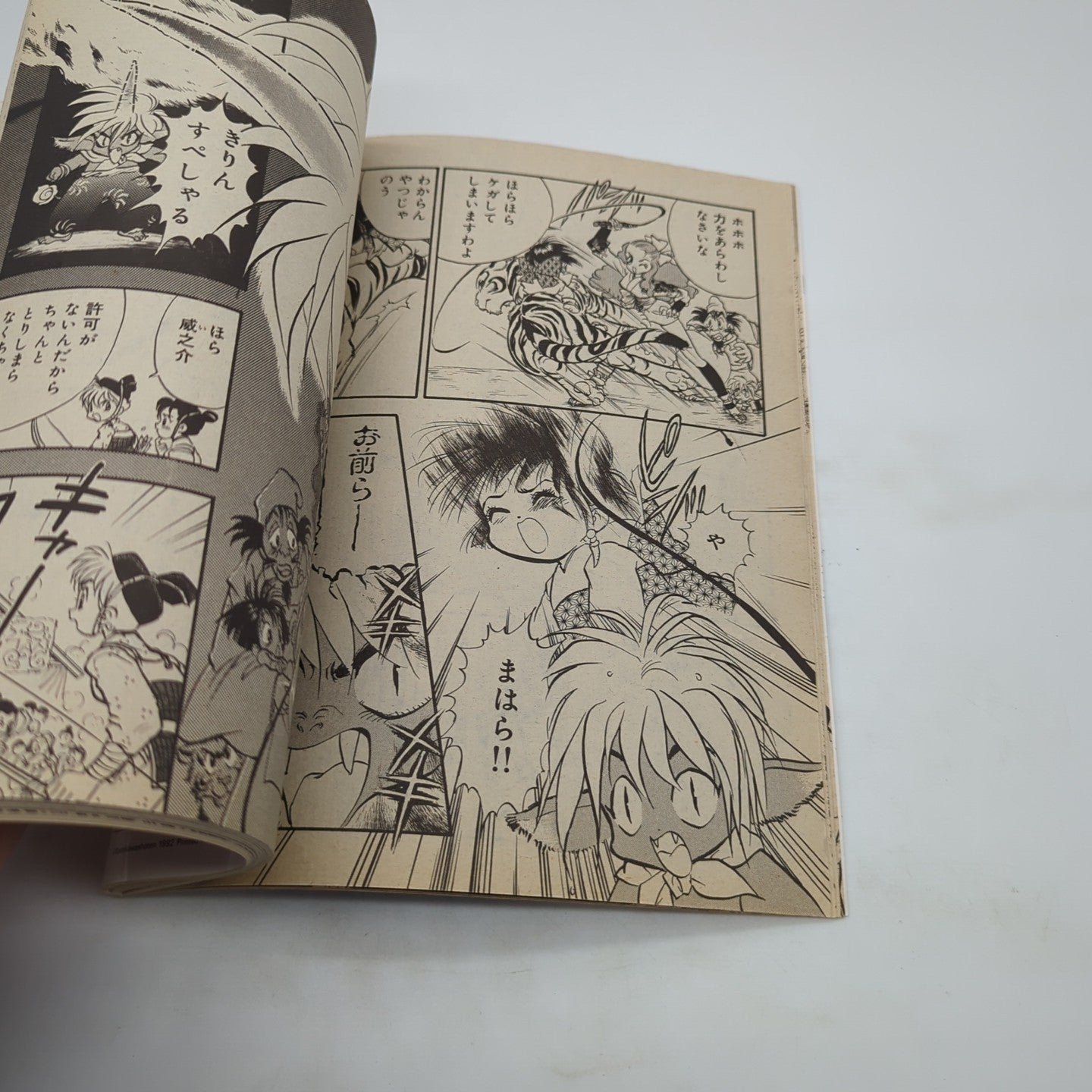 Image #10