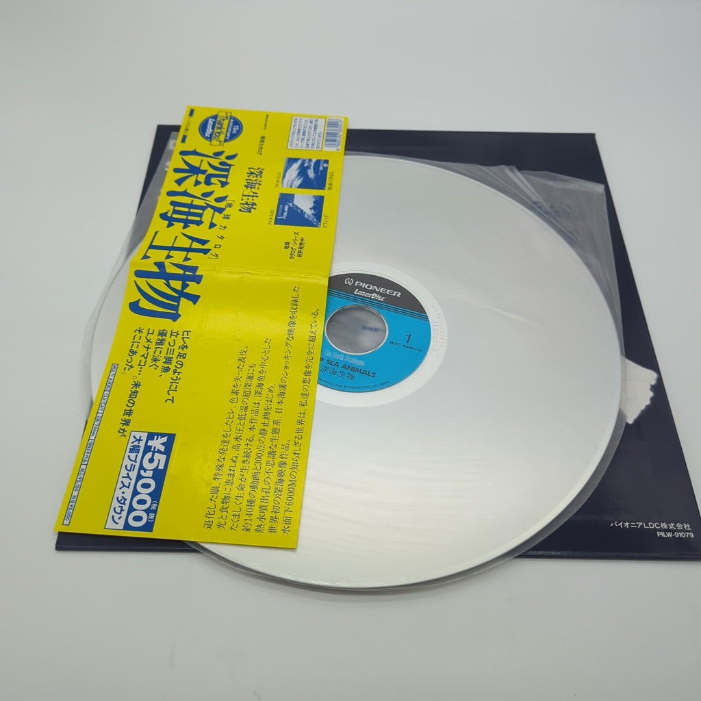 Image #8