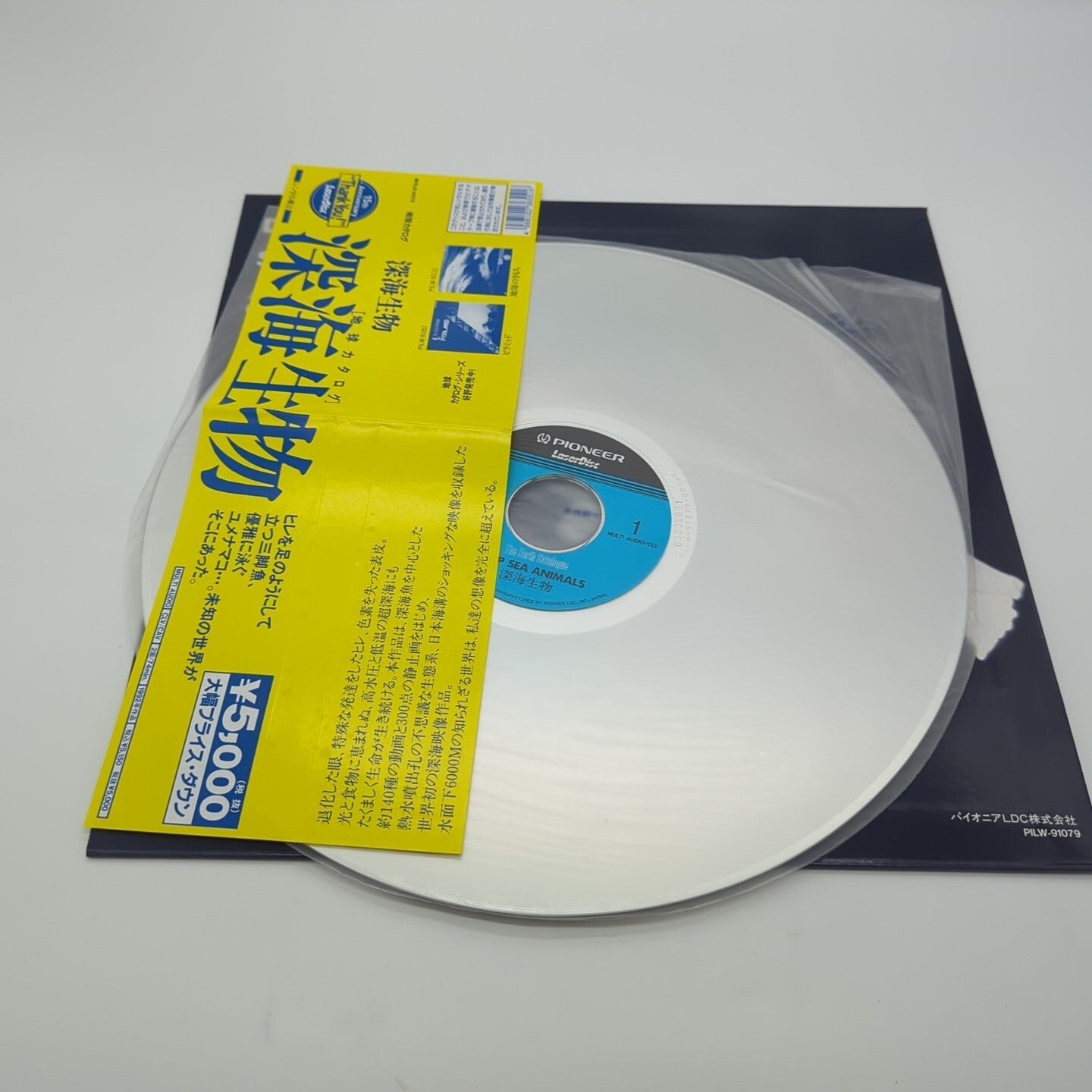 Image #8