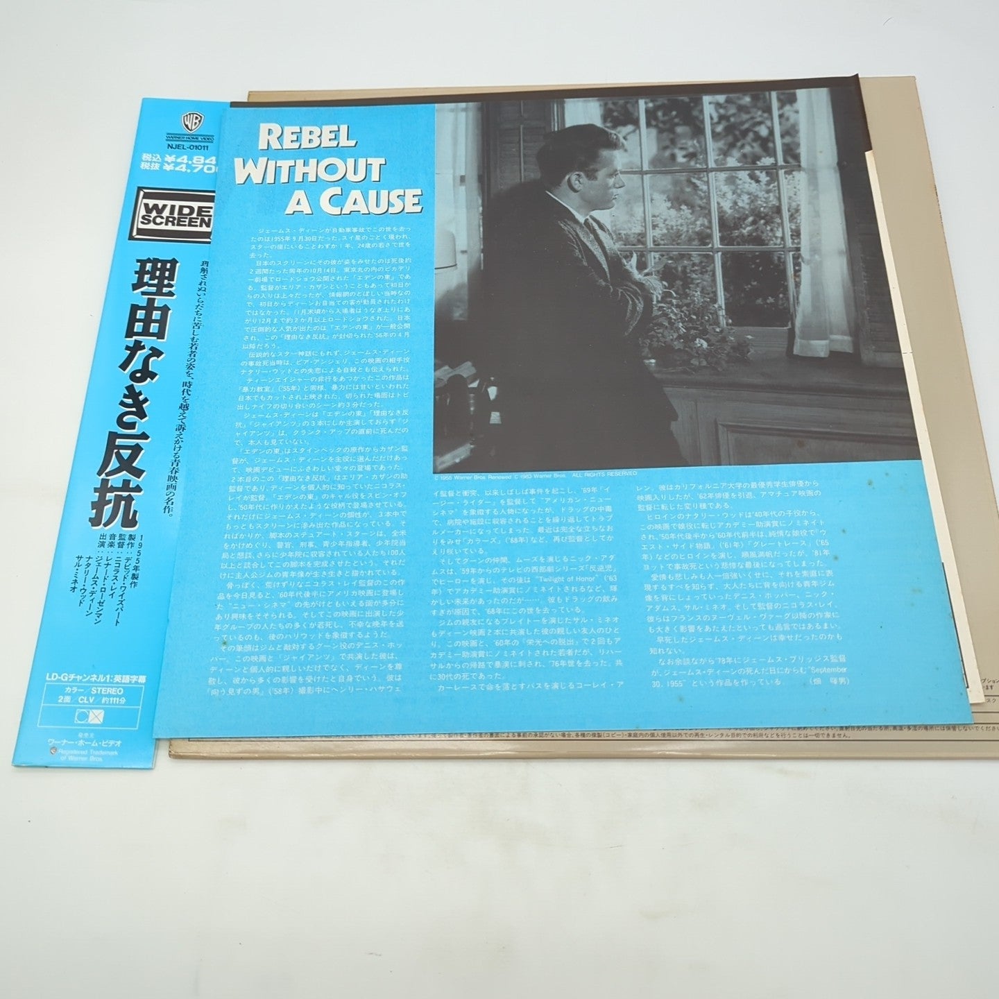 Image #4